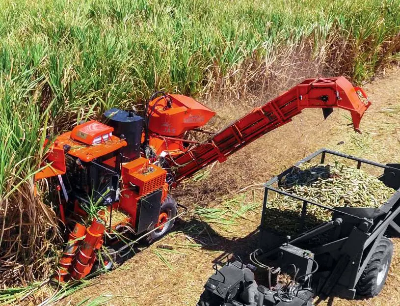 Shaktiman 3737 Tejas self-propelled sugarcane harvester working in standing cane